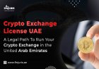 Crypto Exchange License UAE: A Legal Path To Run Your Crypto Exchange in the United Arab Emirates