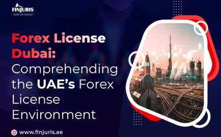 Forex License Dubai: Comprehending the UAE’s Forex License Environment