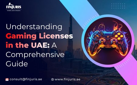 Casino Gaming License: A Complete Guide for Operators