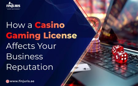 How a Casino Gaming License Affects Your Business Reputation