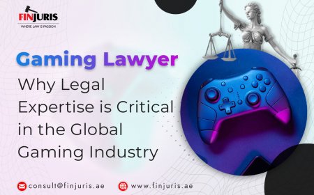 Gaming Lawyer: Why Legal Expertise is Critical in the Global Gaming Industry