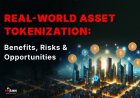 Real-World Asset Tokenization: Benefits, Risks & Opportunities