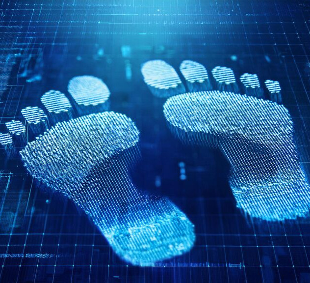 Multi-entity hybrid legal architecture for a DAO