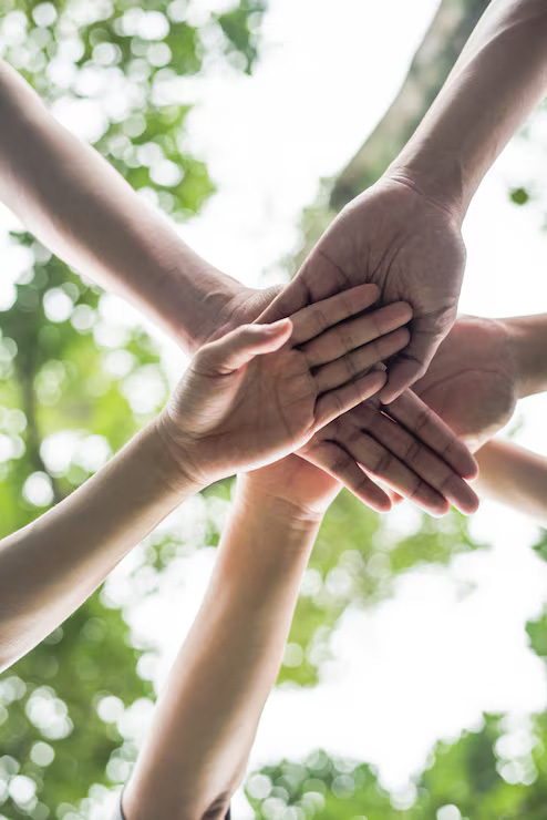 Swiss association and foundation structuring